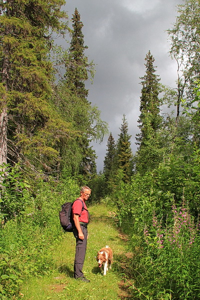 Wir wandern anfangs durch richtigen Fichtenwald und der Weg ist breit und bequem zu gehen, auch bergauf.