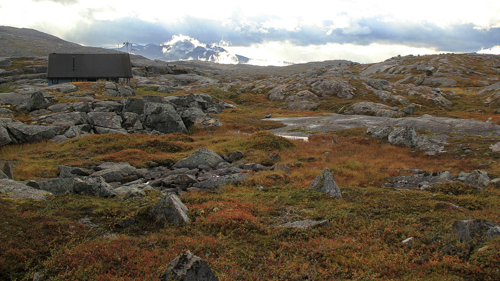 Auf der E 10 fahren wir durch`s Björnfjell - eine faszinierende Landschaft.
